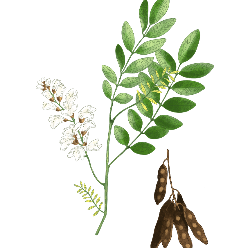 BODY CREAM - Fine Fleur