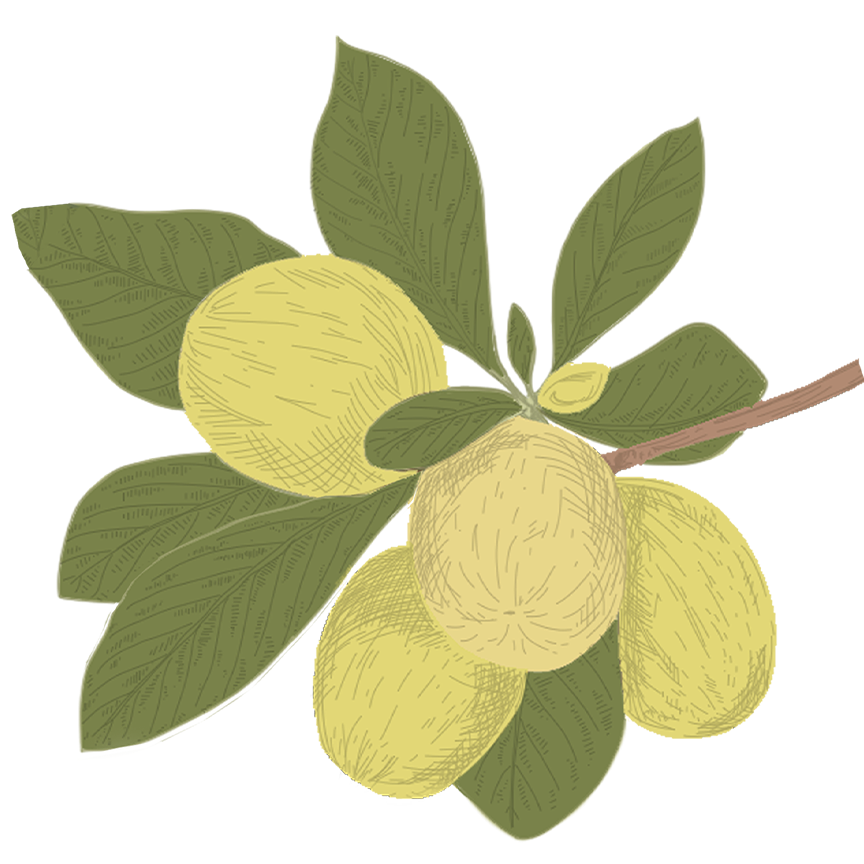 BODY CREAM - Fine Fleur